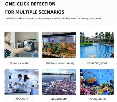 Digital 4-in-1 Pen PH/H2/ORP/Temperature Water Tester for Hospitals and Laboratories