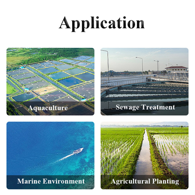 Customized Support ODM Water Monitoring Buoy with Solar Panels and Warning Light