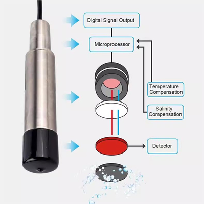 IP68 DO Measurement Sensor Meter Probe for Accurate Water Dissolved Oxygen Measurement